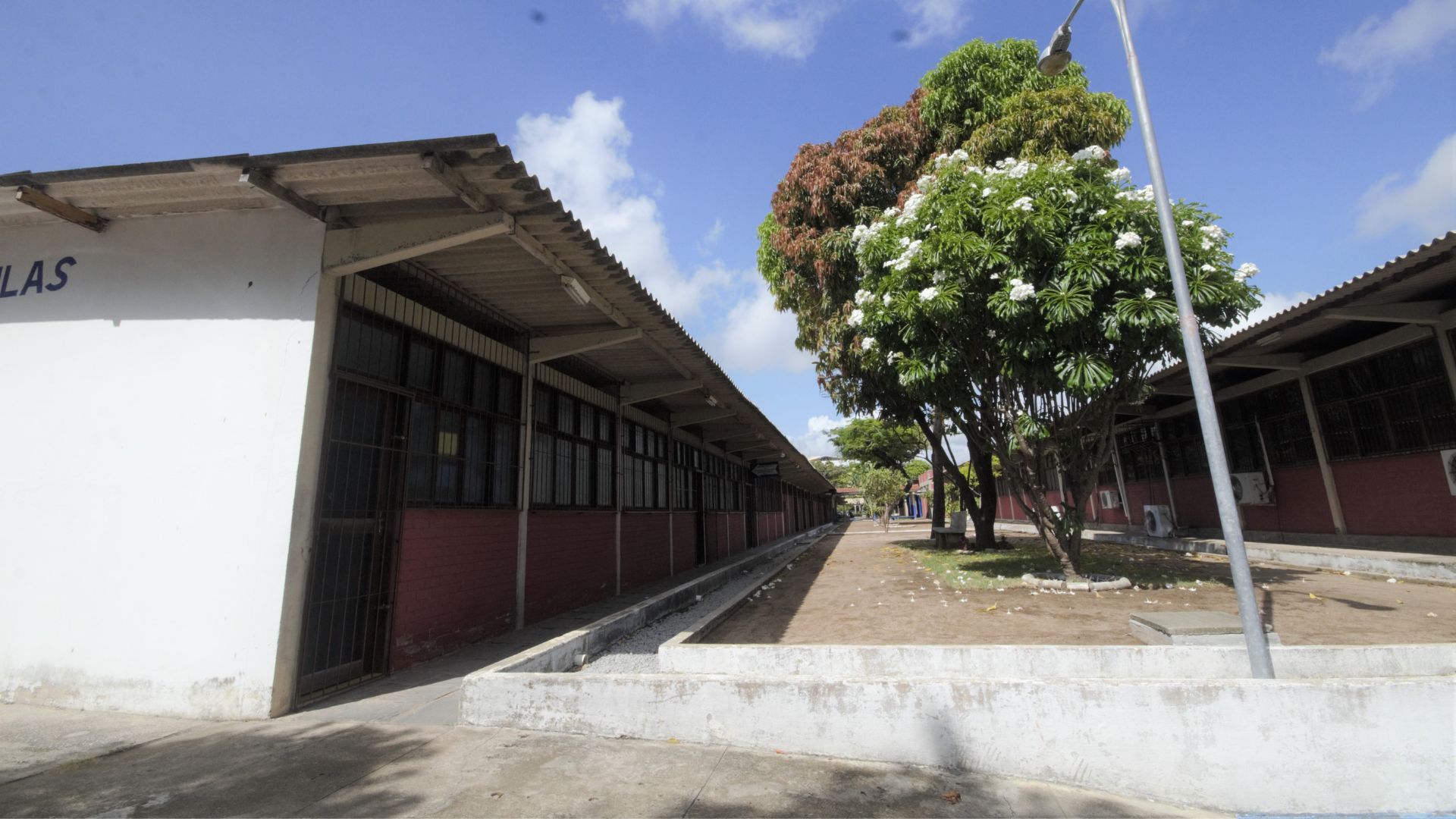 UFPB promove 4ª edição da palestra REDMus em celebração ao Dia do Museólogo Foto: Angélica Gouveia