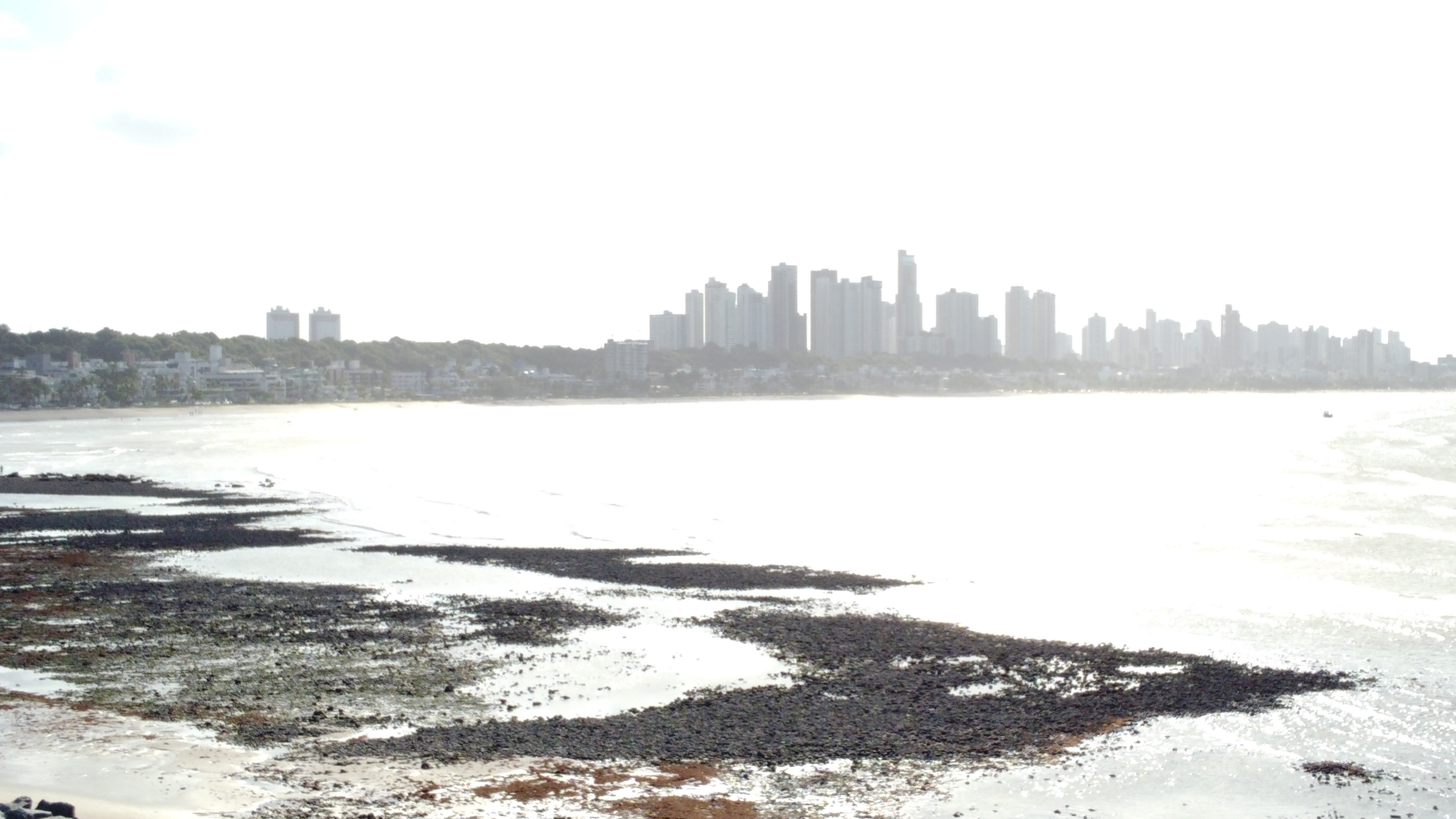 XVII SIMPÓSIO DE RECURSOS HÍDRICOS DO NORDESTE (SRHNE) ACONTECE DE 24 A 29/11/2024 EM JOÃO PESSOA Foto: Aline Lins